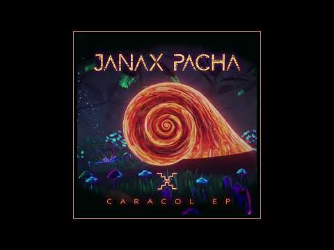 Janax Pacha - Sin Fin