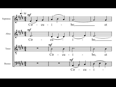 Circuibo - Nobuaki Izawa