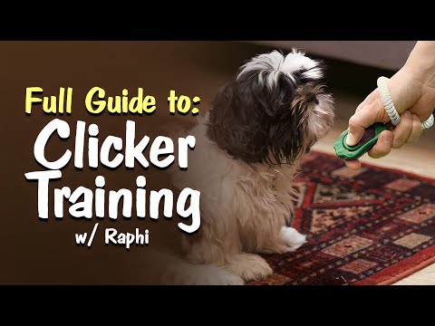 Clicker Training 101: Why You NEED a Clicker for Your Dog!