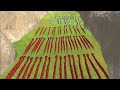 50 Great White Shark Vs 50 Titanoboa Animal Revolt Battle Simulator