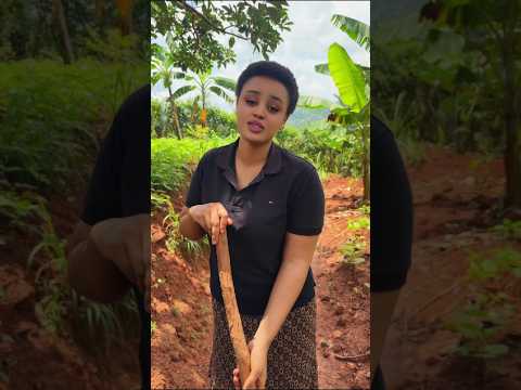 Alice Danica💗 wo muri filime Umukire wumumiliyoneri wihinduye umukozi✨ #rwanda #shorts