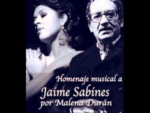 Malena Duran - A estas horas, aqui (Jaime Sabines).wmv