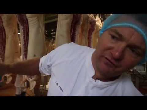 download lagu mp3 mp4 Varkensslachterij, download lagu Varkensslachterij gratis, unduh video klip Varkensslachterij