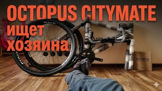 Octopus Citymate спустя 2 месяца ЗИМЫ + розыгрыш