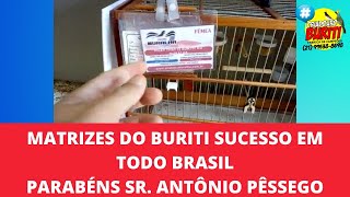 Vídeo do Criadouro Buriti