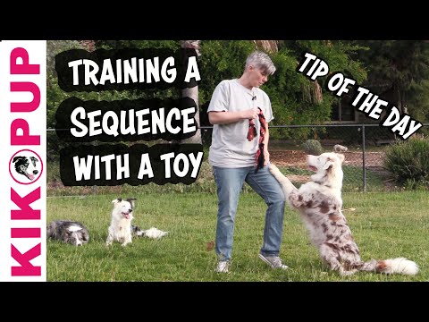 What is Clicker Training