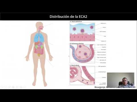 Covid 19 y Enfermedad Renal