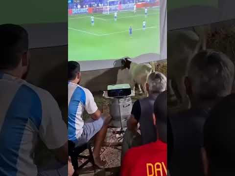 Coisas que só acontecem em Uauá na Bahia #uaua #torcedores #espanha #argentina #finalmundial