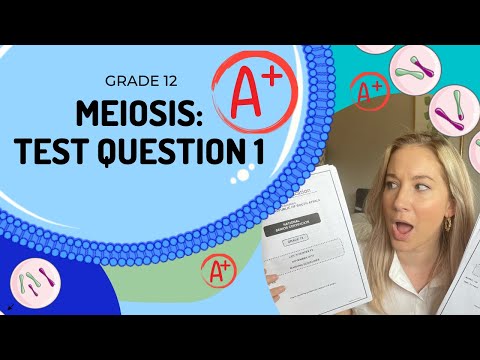 GET an A+ in EXAMS!! (HARD)  | How to answer | Meiosis Exam Q- 1