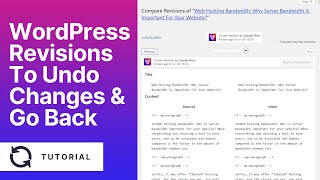 WORDPRESS REVISIONS: Learn How To Undo Changes & Go Back to an Earlier Version of Posts / Pages?
