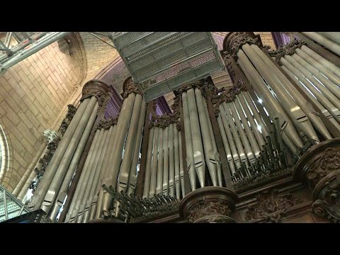 Orgel von Notre-Dame wird saniert - mit Gefühl und Großgerät | AFP