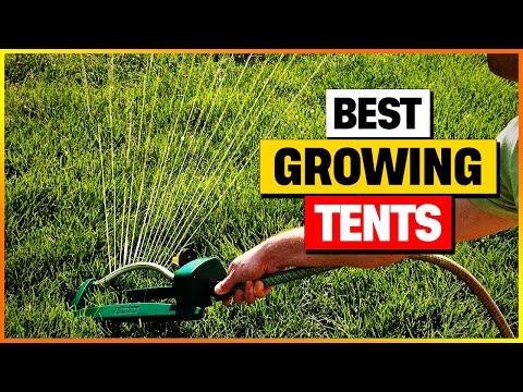 Best Grass Seeds 2026 Top Picks Revealed