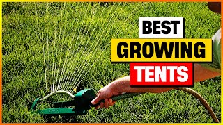 Best Grass Seeds 2026 Top Picks Revealed