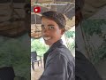 Rahnuma Khan And Jahid Ali New Vlog Please Support Newvlog Viral Shorts Youtubeshorts Trend Trend