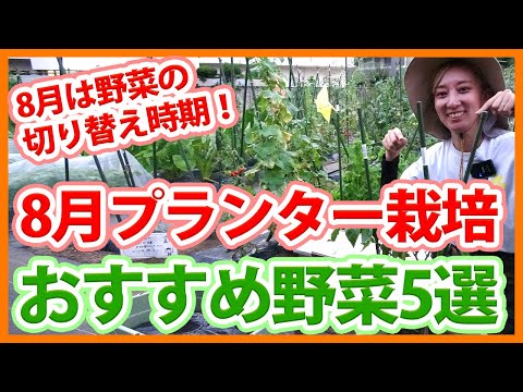  8月には何を植えますか？季節の主役野菜や花々にズームアップ！  庭園