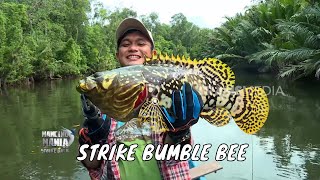 Download lagu Sensasi Sambaran Ikan Monster Penghuni Ikan Payau | MANCING MANIA STRIKE BACK (10/08/25) Part 1 mp3 Download lagu Sensasi Sambaran Ikan Monster Penghuni Ikan Payau | MANCING MANIA STRIKE BACK (10/08/25) Part 1 mp3