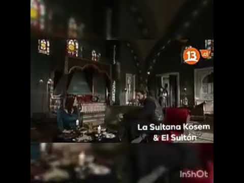 Sanavber le dice a Murad que Farya hizo que Ayse se matara con sus hijos