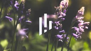 Mun &amp; Sol - Lavender &amp; Dandelion