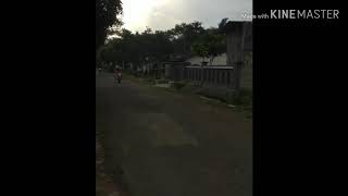 Download lagu Setting bebek goreng 2tak'IVA AMELIA' mp3