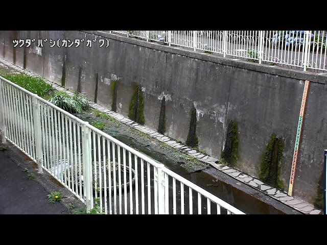 佃橋映像監視局