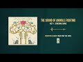 The Sound of Animals Fighting "Act 1: Chasing Suns"