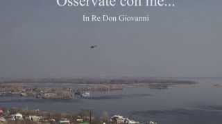 Michael Nayman  In Re Don Giovanni