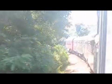 Utazás a 150 éves 50-es vasútvonalon Dombóvár-Bátaszék között az olajzöld ingavonattal