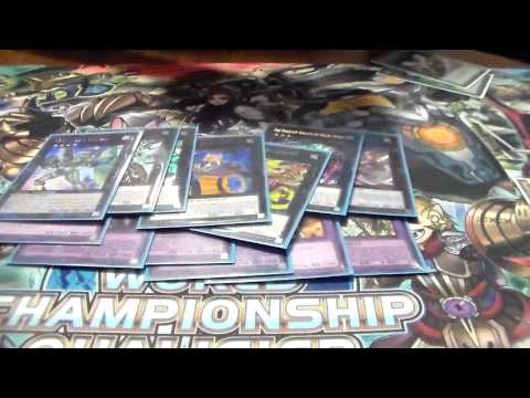 8th Place San Antonio Regional - Metalfoe Zoodiac - Marc St. Romain