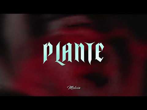Melvin - Plante (Visualizer)