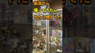フィギュアコーナーが超補充されてた#vlog  #カードショップ店員 #作業内容