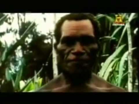 Expresiones faciales universales: Paul Ekman