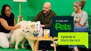 Fleas, Ticks & Worms: What Every Pet Parent Needs to Know | At Home with Pets