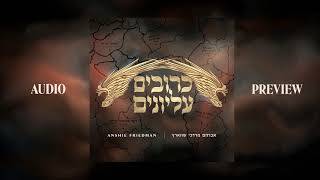 Kruvim Elyonim, Avrum Mordche Schwartz, Sampler | כרובים עליונים, אברהם מרדכי שווארץ, אנשי פריעדמאן