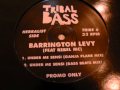 Barrington Levy (feat Rebel Mc) Under Me Sensi ...