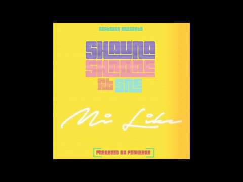Shauna Shadae ft. SNE - Mi Like