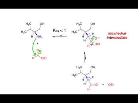 The mechanism for nucleophilic acyl substitution