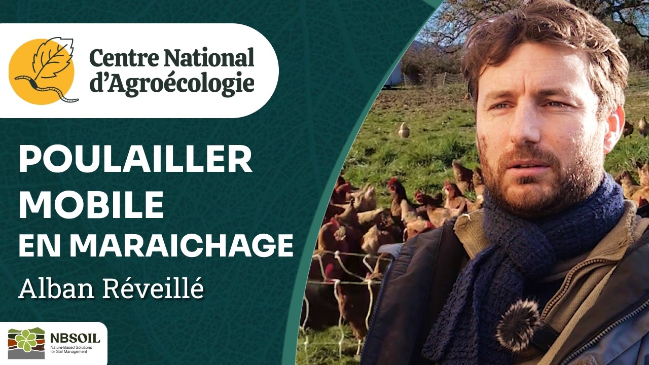 Poulaillers mobiles dans une ferme maraîchère du Sud Ouest - CNA