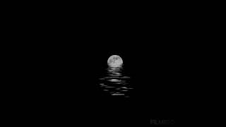 Download lagu story WA Avenged Sevenfold- warmess on the soul mp3 Download lagu story WA Avenged Sevenfold- warmess on the soul mp3