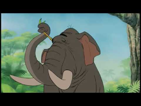 Teddy Bears Don't Dance - Part 7 Meet Hathi