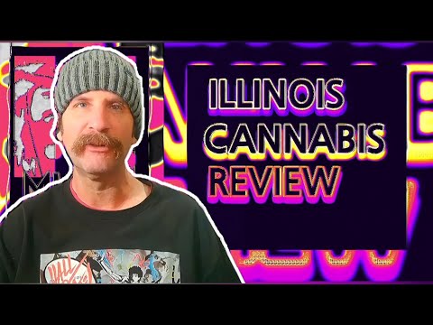 Mick Reviews Daze Off Winter Break