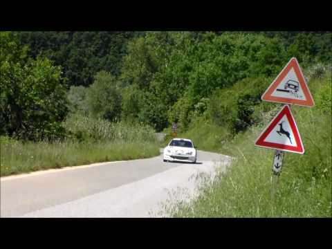 34° Rallr Day Casciana Terme 2016 R. Ferrari - R. Meconi Peugeot 206 S1600
