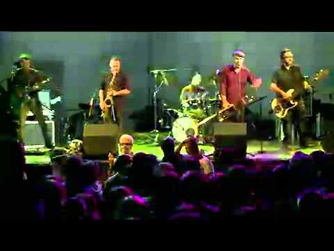 Mr. T-Bone & Friends - Internet Festival 2013 (concerto live)