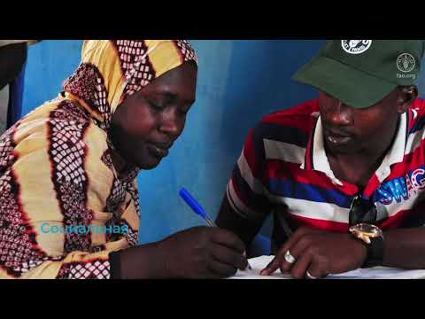 Управление климатическими рисками через социальную защиту