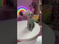 Grey Tabby Cat Sculpture