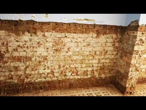 Rising Damp Solutions Sydney