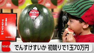 スイカの初競り70万円　北海道の黒い見た目が特徴「でんすけすいか」