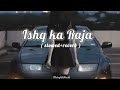 Ishq Ka Raja Slowed Reverb Addy Nagar Melophile World