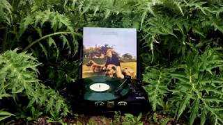 Van Morrison - Cul De Sac (Vinyl)