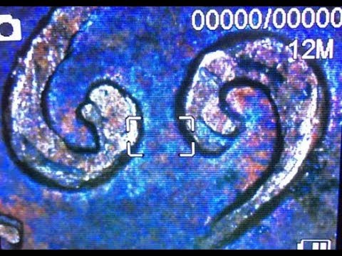 Just found 1969 s doubled die real deal and how to tell between real and mechanical
