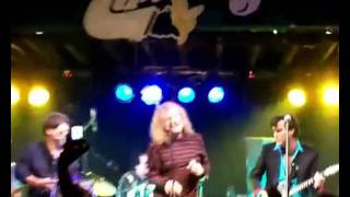 It Keeps Rainin' :::: Robert Plant &amp; The Lil' Band O' Gold.
